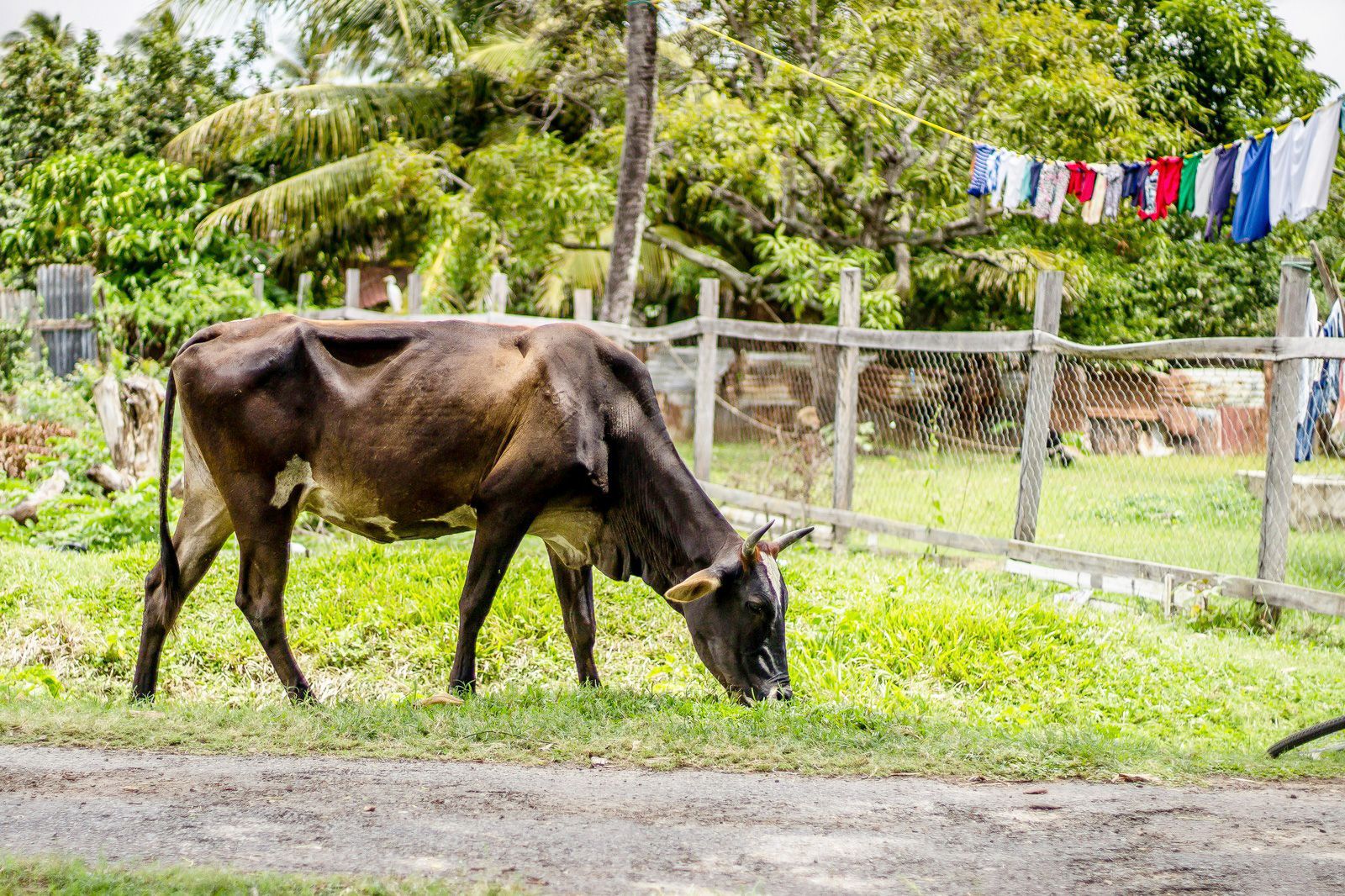 esim_UL_5D_GF_V2