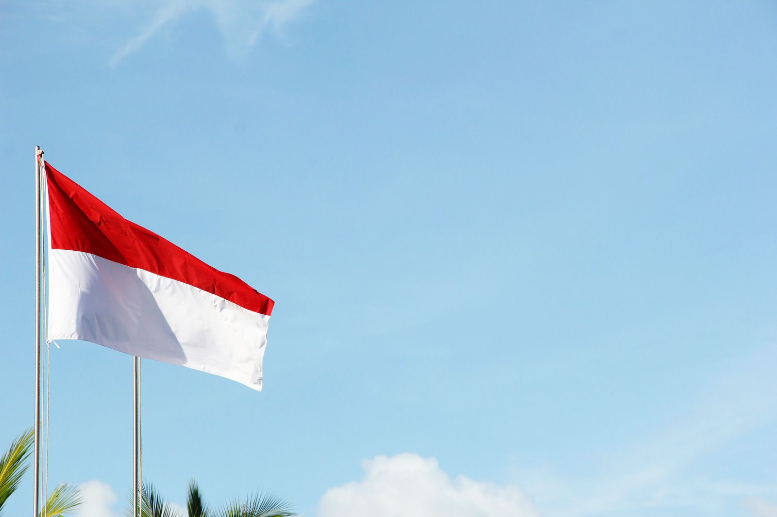 esim_ULP_30D_ID_V2