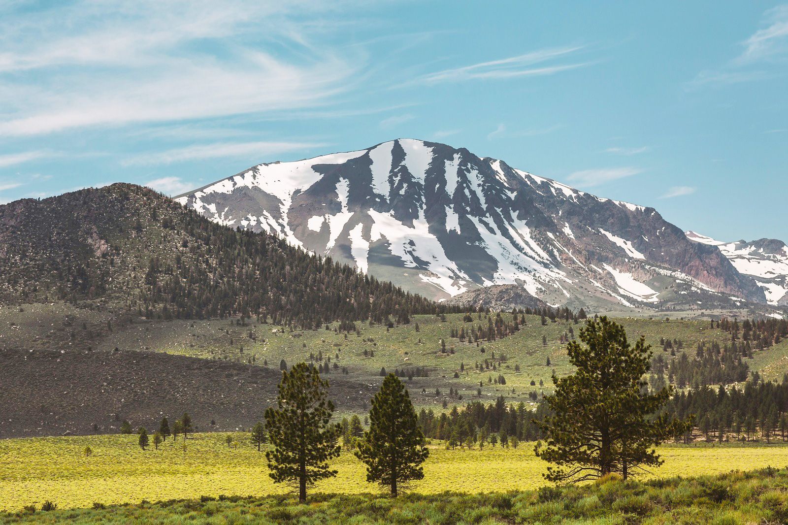 esim_ULE_10D_RNA_V2